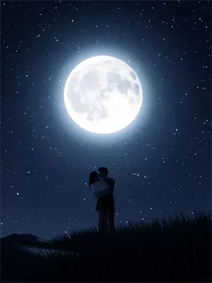 星际哨向：万人迷被毛茸茸包围啦