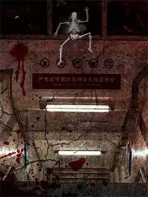 我在60年代代购
