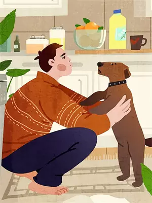 我捡到一只猫头鹰能养在家里吗